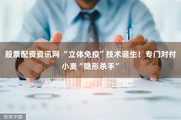 股票配资资讯网 “立体免疫”技术诞生！专门对付小麦“隐形杀手”