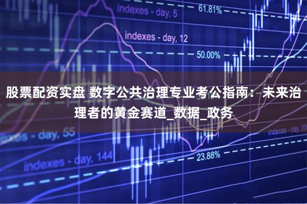 股票配资实盘 数字公共治理专业考公指南：未来治理者的黄金赛道_数据_政务