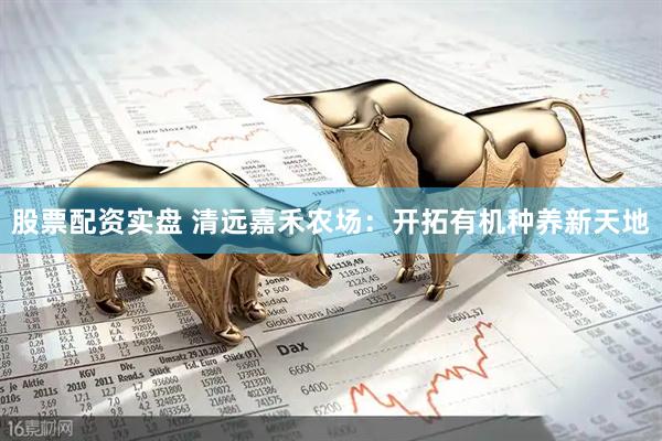 股票配资实盘 清远嘉禾农场：开拓有机种养新天地