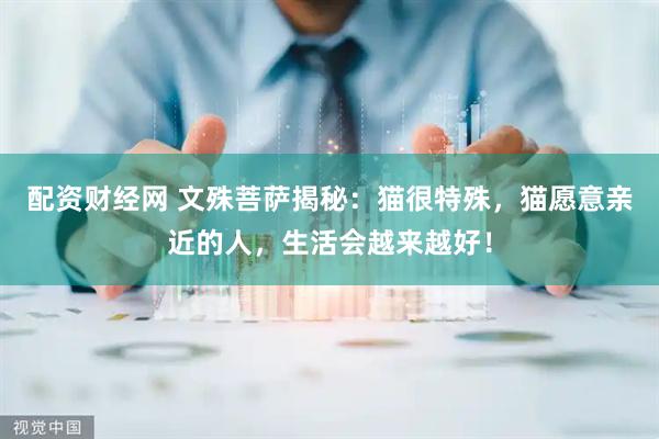 配资财经网 文殊菩萨揭秘：猫很特殊，猫愿意亲近的人，生活会越来越好！